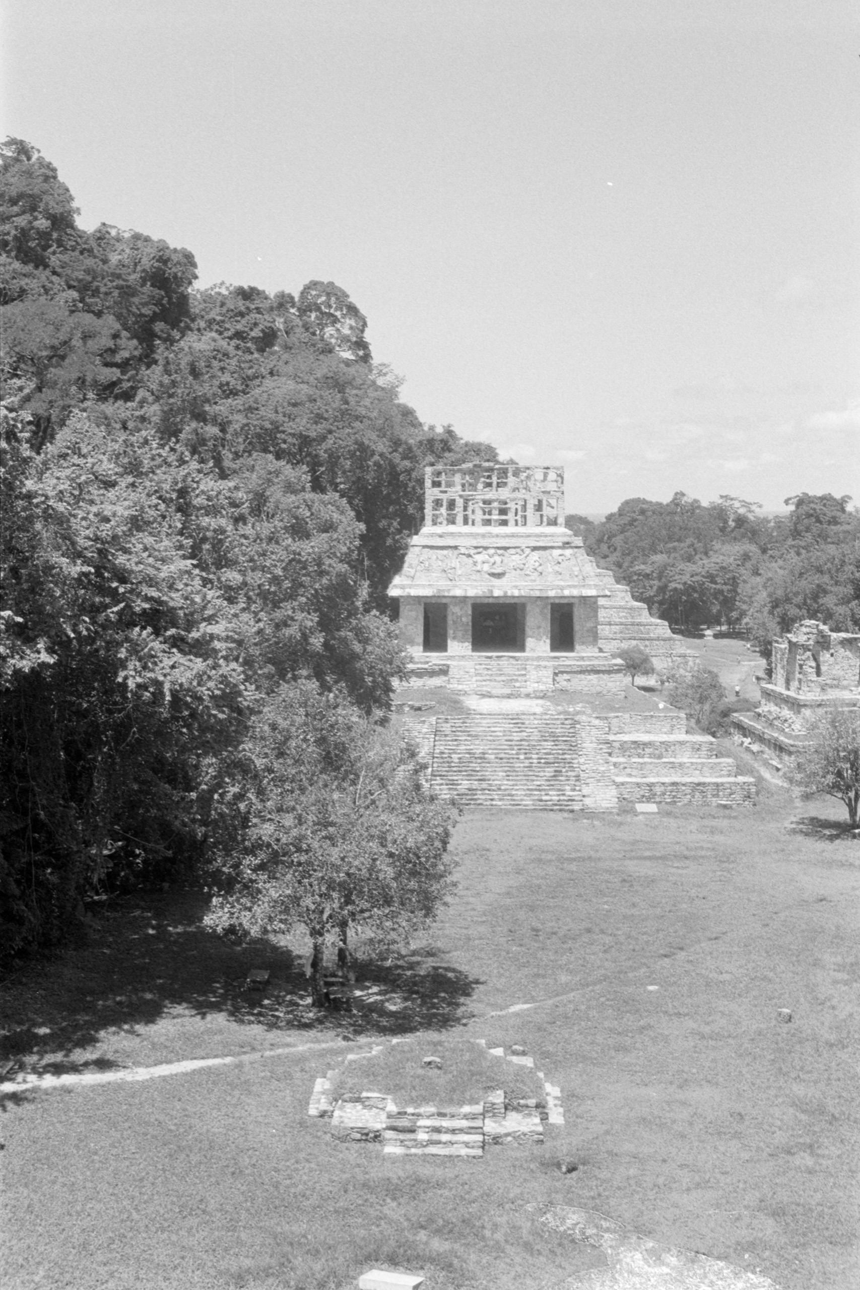 AHP FilmScan 240807 0665